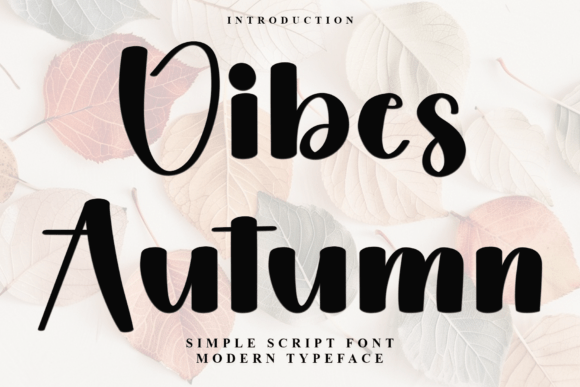 A Designer's Practical Review of Vibes Autumn