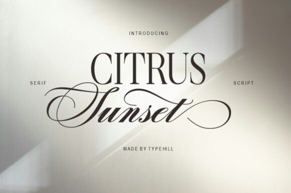 Discovering Citrus Sunset: A Font for Branding That Looks Professional