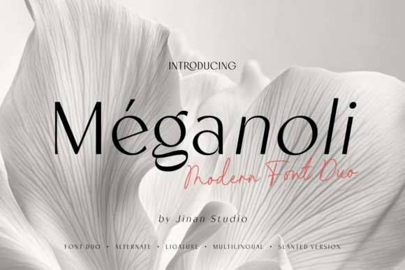 How the Meganoli Duo Font Can Strengthen Your Brand