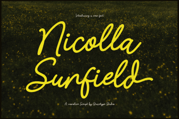 Nicolla Sunfield: Crafting a More Elegant Editorial Experience